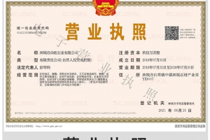 麻城市众旺石业有限公司